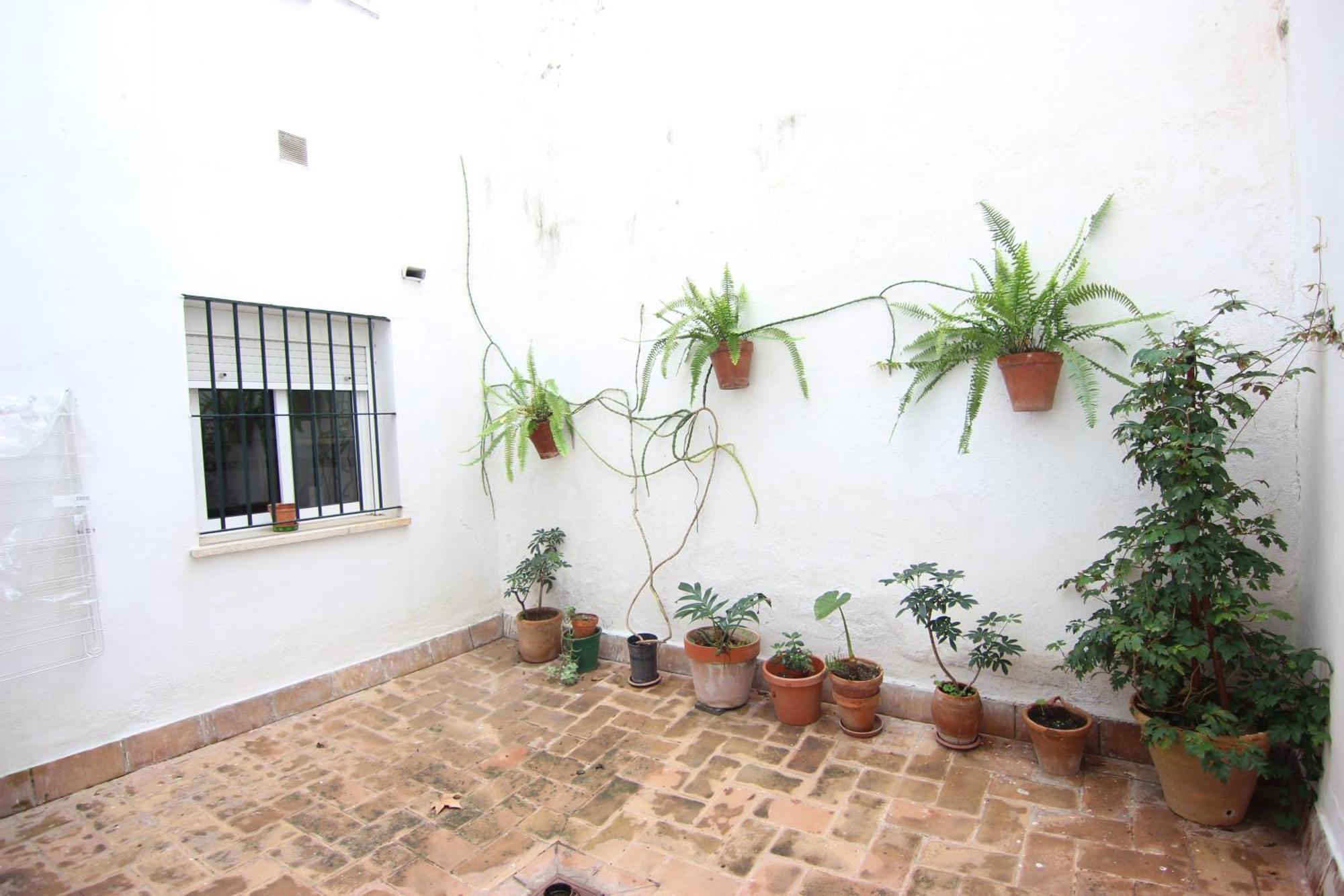 Rentalsevilla Espacioso Apartamento En La Alameda De Hercules Con Parking エクステリア 写真